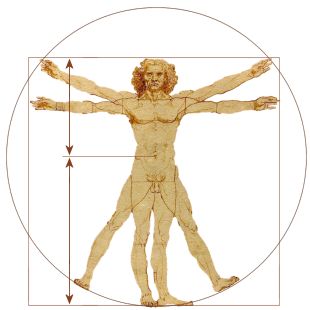 davinci's Vitruvian Man showing Golden Ratio